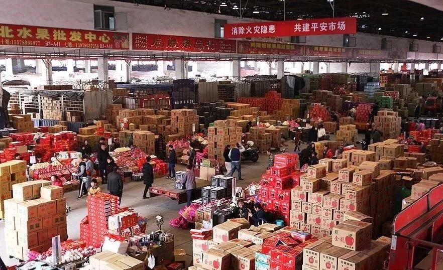 杨桃价格走势分析,多元观点探讨下的市场趋势