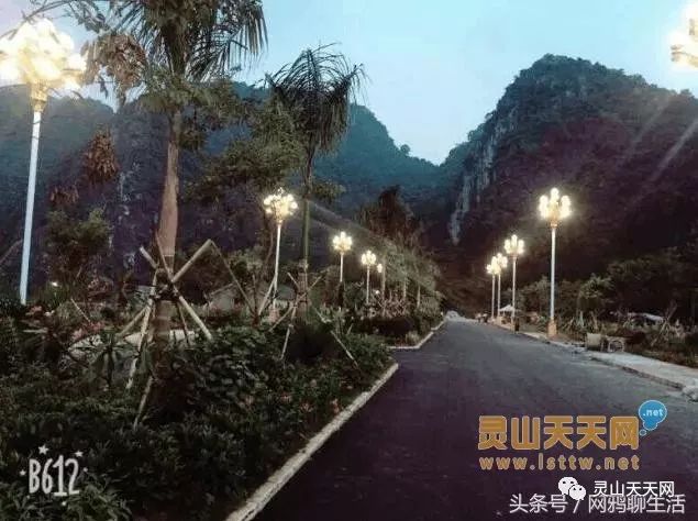 灵山最新公路规划,探寻小巷风情与隐秘之宝