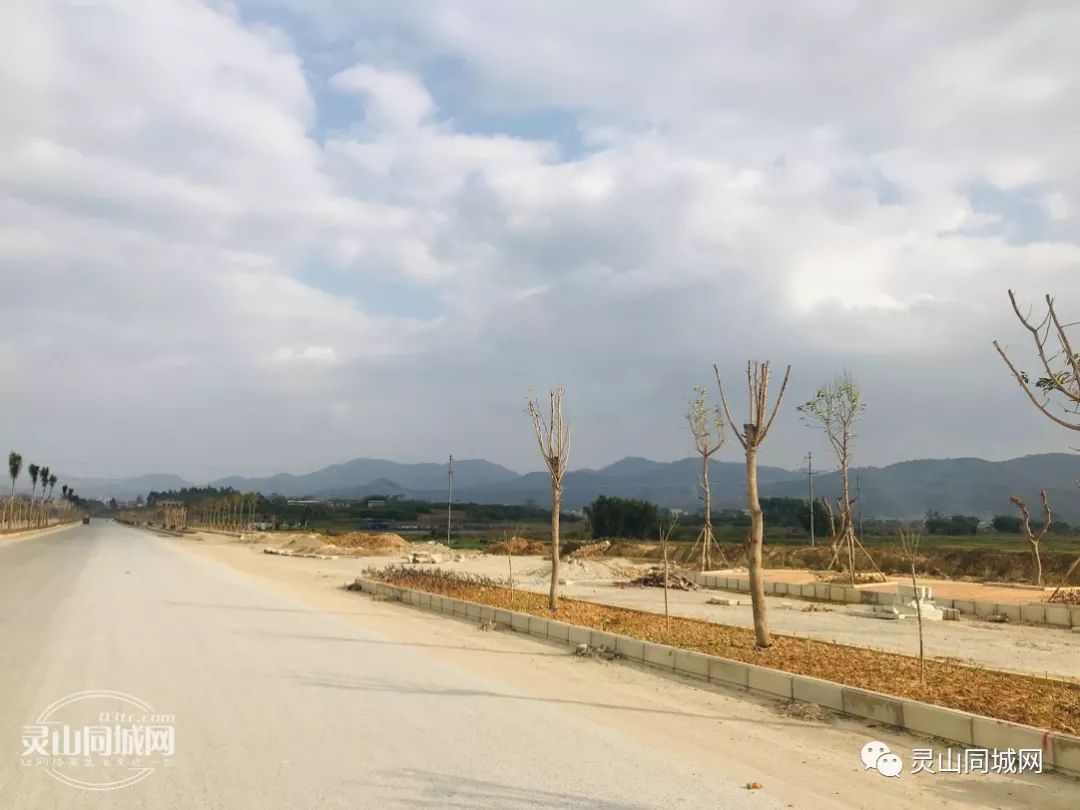 灵山最新公路规划,探寻小巷风情与隐秘之宝