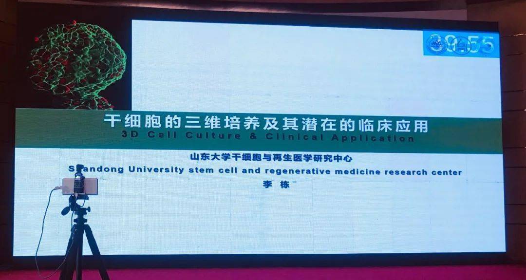 干细胞临床研究最新进展揭秘,科学突破与未来展望