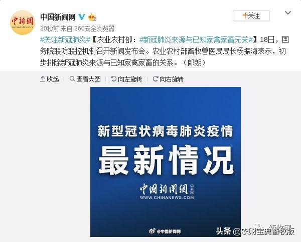 猪禽世界的温馨故事,揭秘猪禽流感最新动态