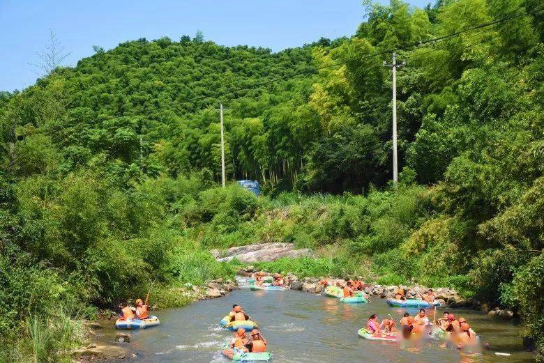 鸟版1050最新更新详解及更新步骤指南