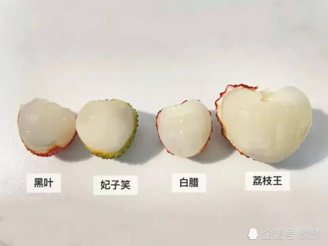 小巷中的隐秘美味,最新力作探索