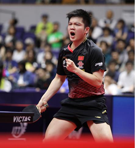 樊振东热血再战赛场,最新乒乓赛况瞩目东哥风采
