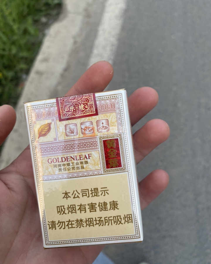 黄金叶乐途,小巷隐秘宝藏与烟草探索之旅的价格揭秘