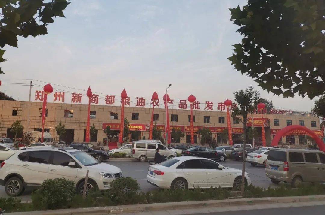 金华赛事探寻,城市魅力的激情燃烧