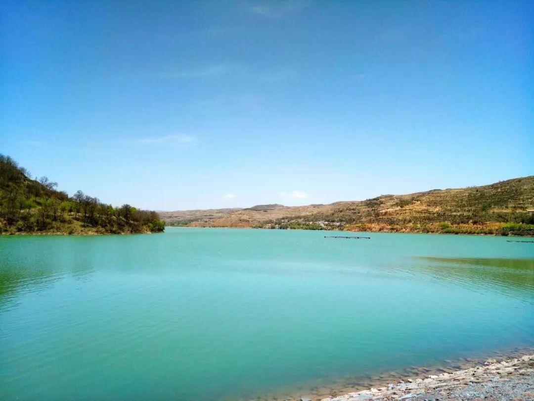 礼县人社局最新公告,任务指南与技能学习步骤详解