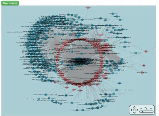 VMess节点资讯更新,探索旅行中的自然美景与内心平和之地