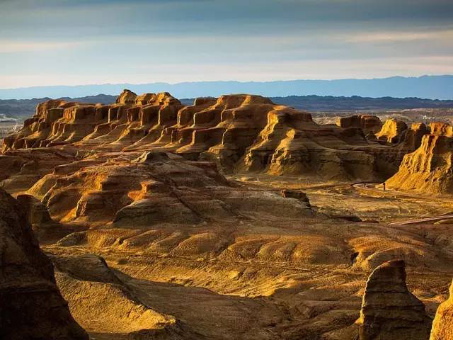硅化木原石探索,自然美景与内心平静的旅程及价格探索