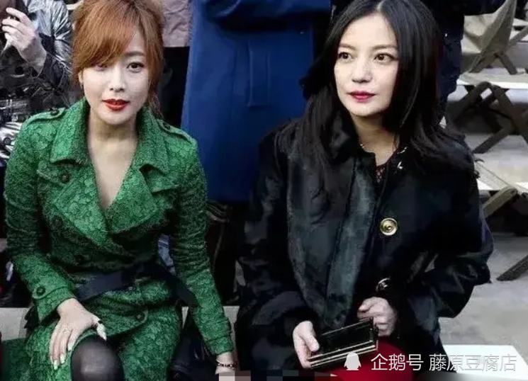 赵薇新歌发布,与自然共舞的奇妙之旅