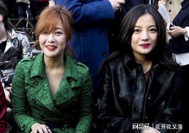 赵薇新歌发布,与自然共舞的奇妙之旅