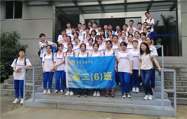 黑雄动态,揭示未来科技的强大力量与迷人魅力