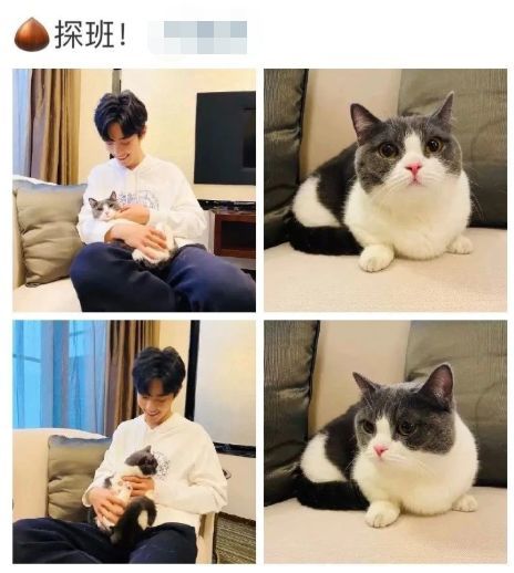 肖战动态速递,获取最新资讯的详细步骤指南