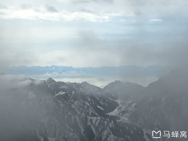 插树岭演员表,探寻自然美景之旅,内心平和宁静的寻觅之旅