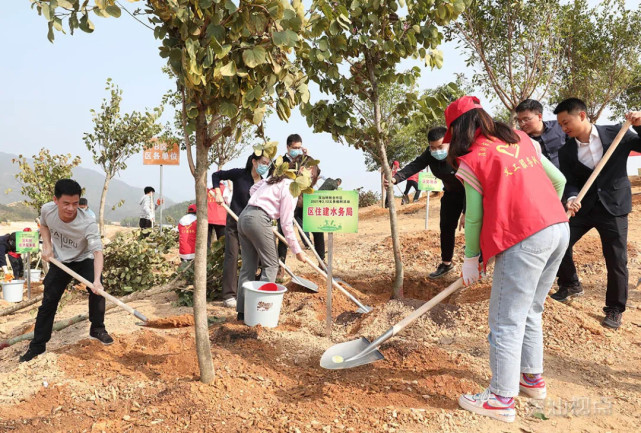 科技重塑绿色生活,一场生态与科技的完美结合——植树比赛纪实