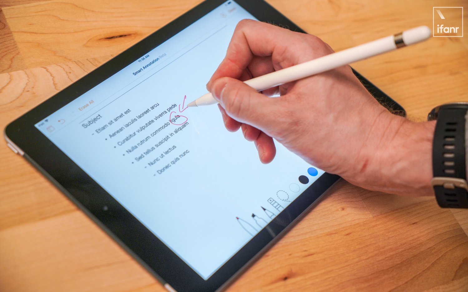 iPad最新款购买与使用指南