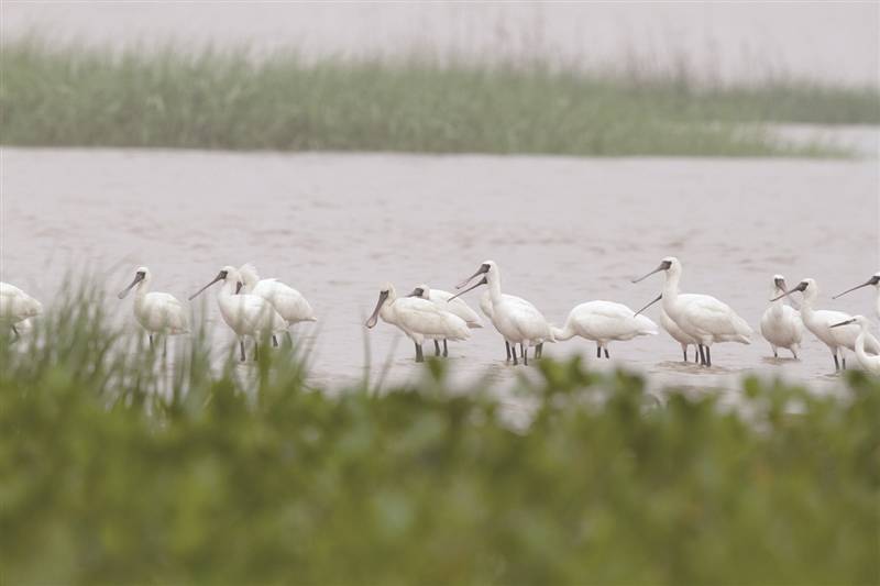温州招聘网最新招聘信息,小巷深处的职场宝藏与风情探寻