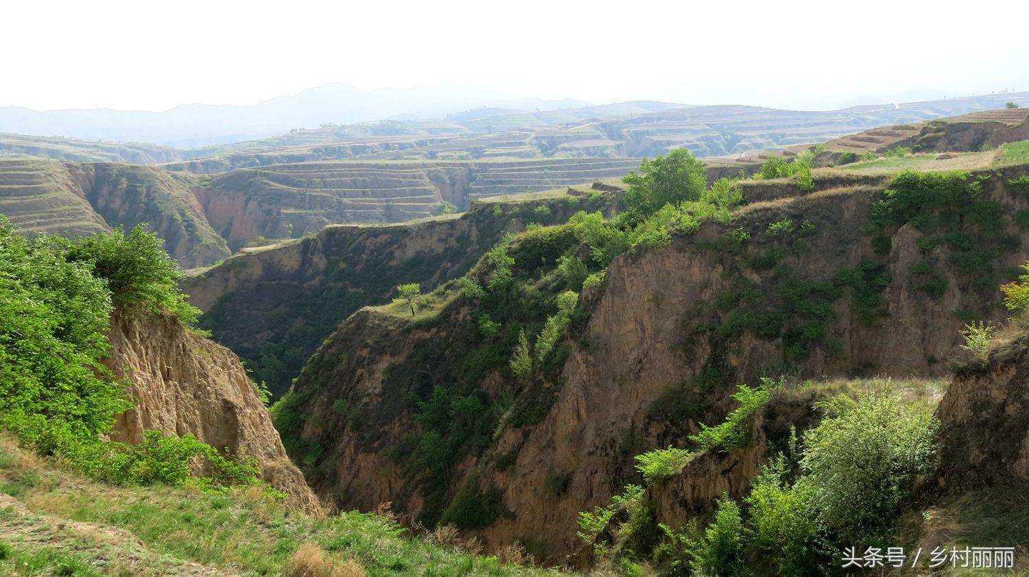 时代风景下的最新散文风采