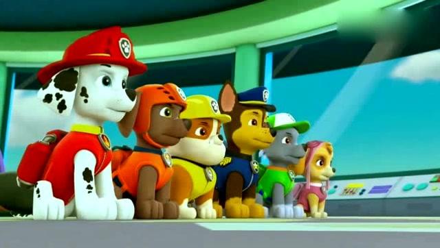 汪汪队最新,城市公园的冒险日常探险记