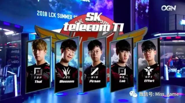 花生行情动态,一颗花生的成长与变化揭示自信与成就之路