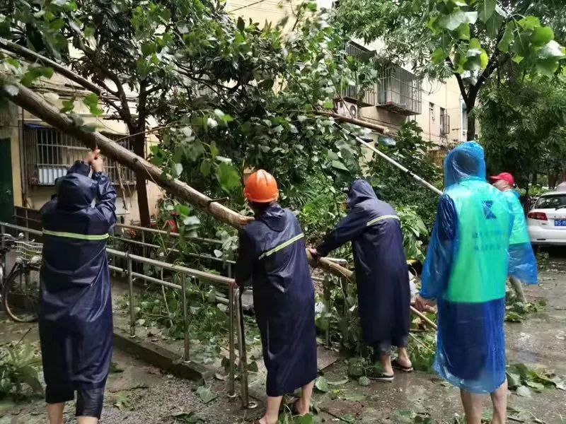 台台风最新消息与小街巷独特风味探秘之旅