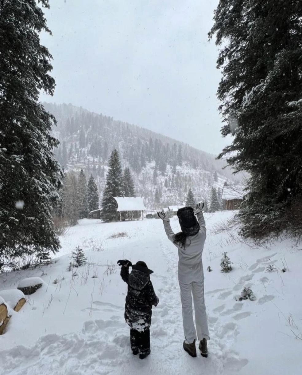 最新款手机大全,手机奇缘的温馨之旅