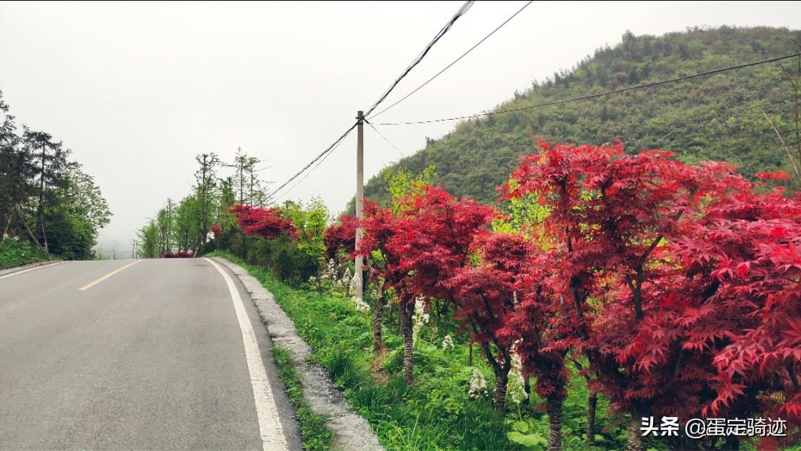 最新校园电影,小巷隐藏宝藏与特色小店的奇妙之旅