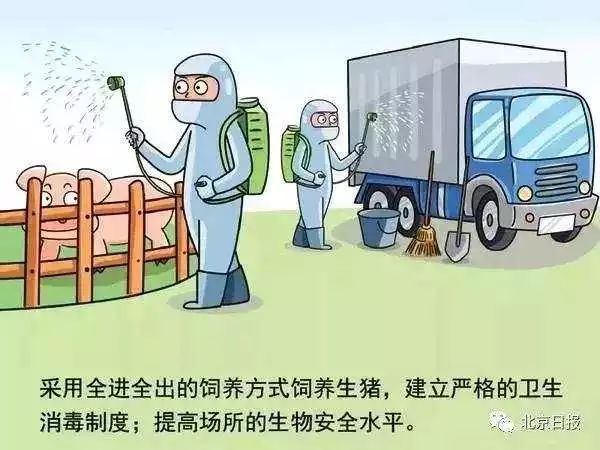 第428页