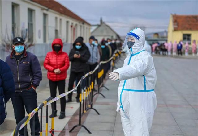 河北最新疫情动态与小巷深处的独特风味