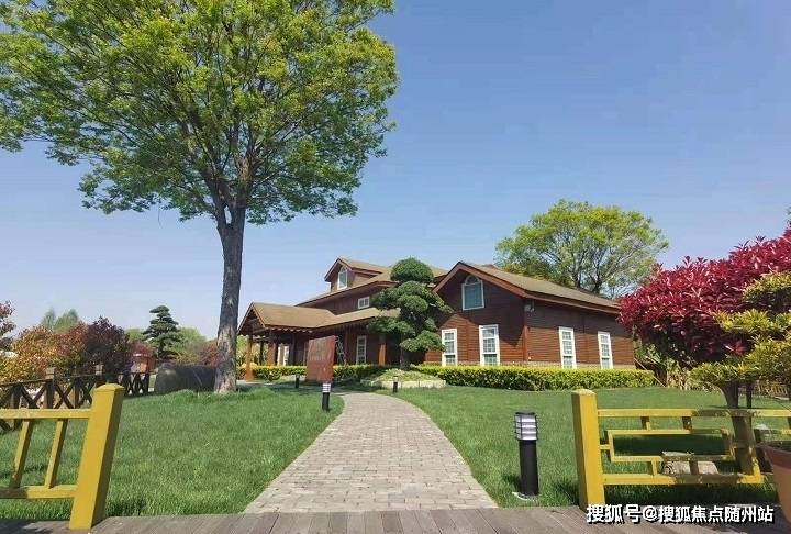 最新尿素价格指南,查询与理解尿素价格的步骤详解