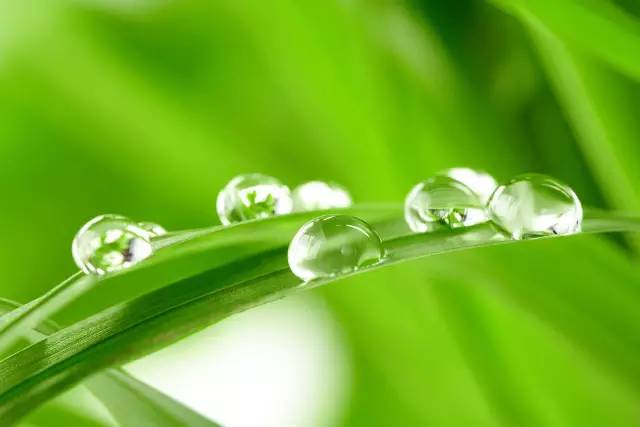 绿色生命的蓬勃与变化,最新小草的成长之旅