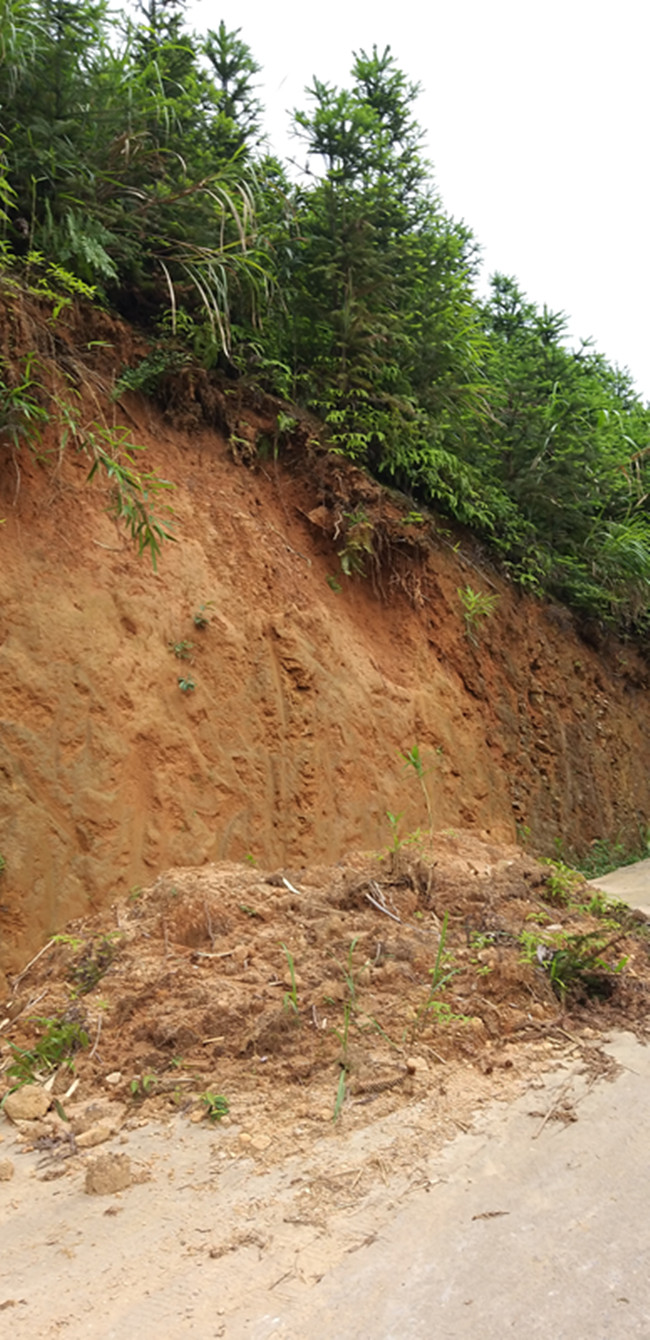 山体滑坡最新动态,自然之旅寻求内心宁静与平和