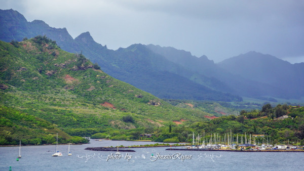 蔡家自然美景探索之旅,心灵的洗涤与觉醒最新消息