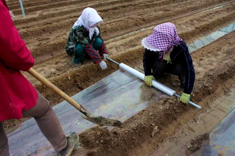 江苏疫情最新数据与绿意盎然的心灵之旅启程