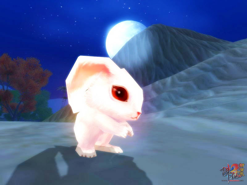 兔子最新价格揭秘,温馨有趣的日常故事开启!