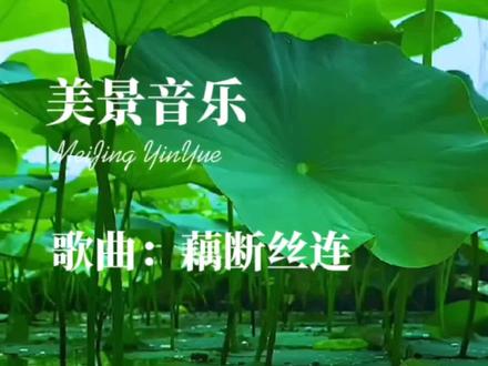 最新好歌带你开启自然美景的心灵之旅