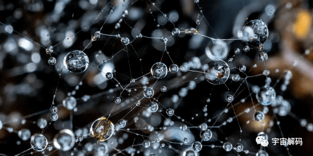 最新小件,时代的微观脉络与微观革命的跃迁