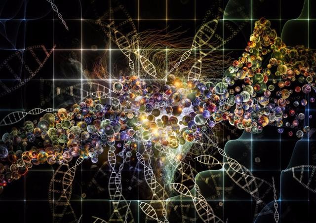 最新小件,时代的微观脉络与微观革命的跃迁