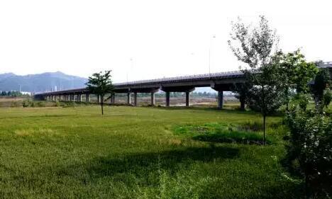 最新千阳,背景、重大事件与地位的时代烙印