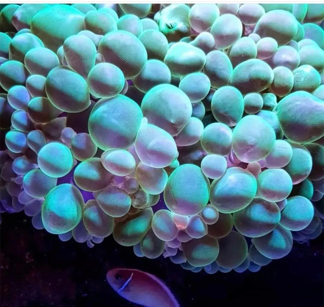 警惕虚拟世界里的隐形威胁,最新网络诈骗消息解析与防范指南