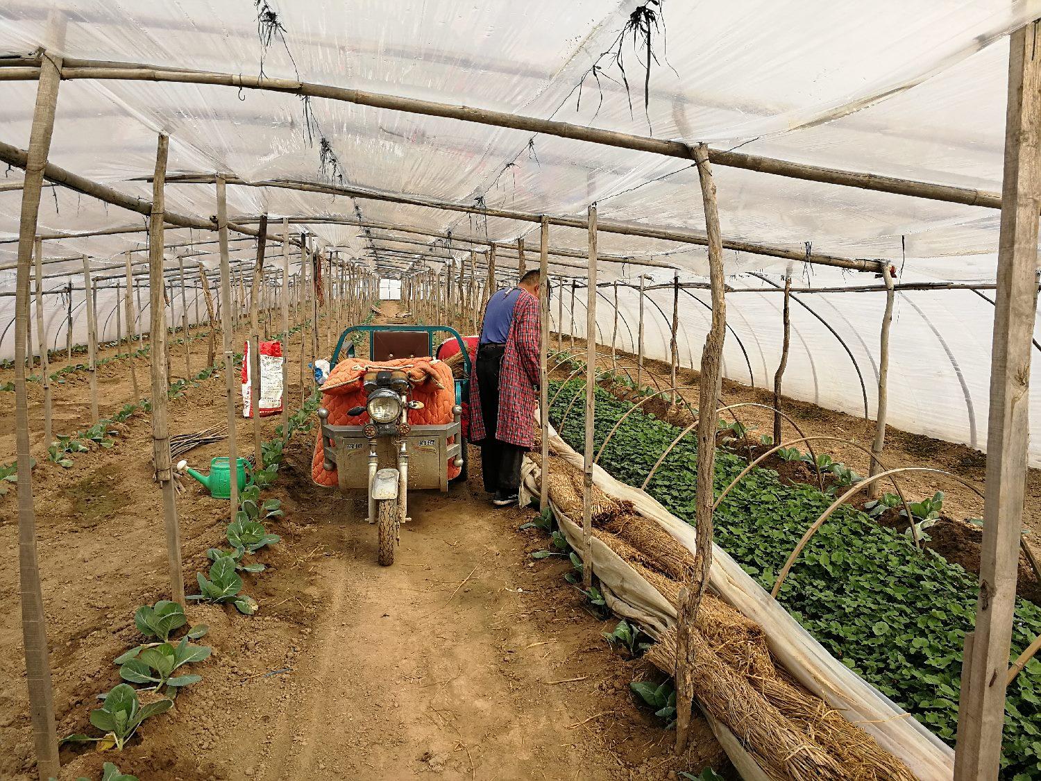 山东疫情最新动态与温馨日常