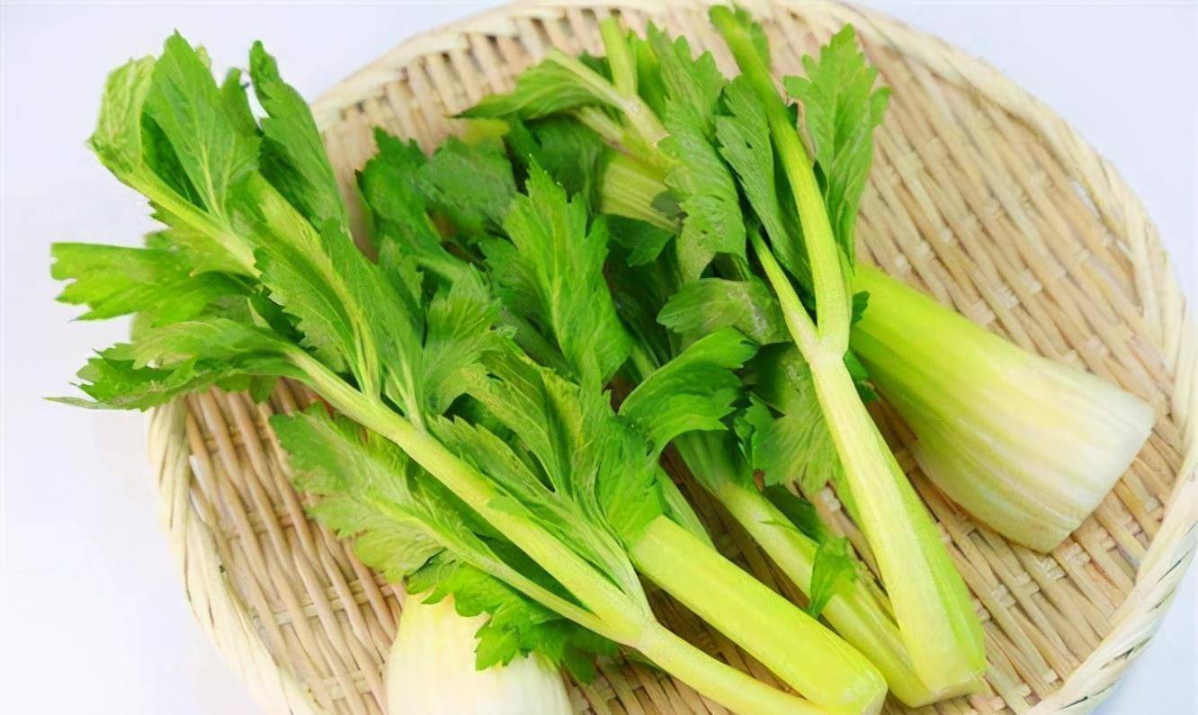 芹菜最新价格及分析概览