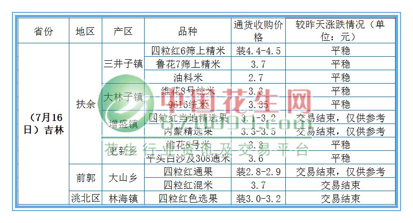 花生最新价格行情揭秘,励志故事中的一颗花生之价值探索