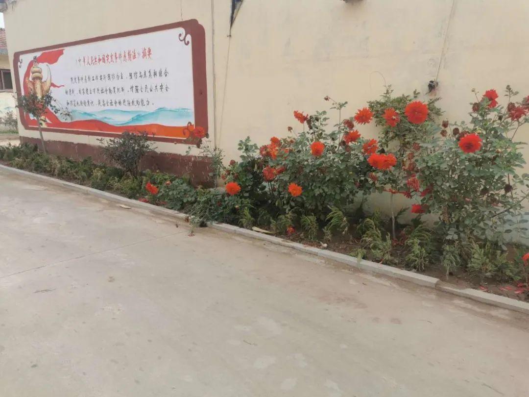 莒县新闻热点,小巷深处的独特风味,隐藏特色小店揭秘