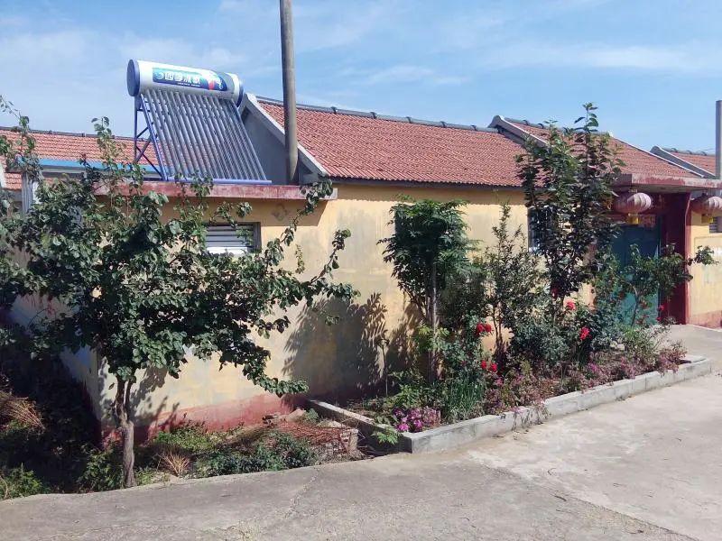 莒县新闻热点,小巷深处的独特风味,隐藏特色小店揭秘