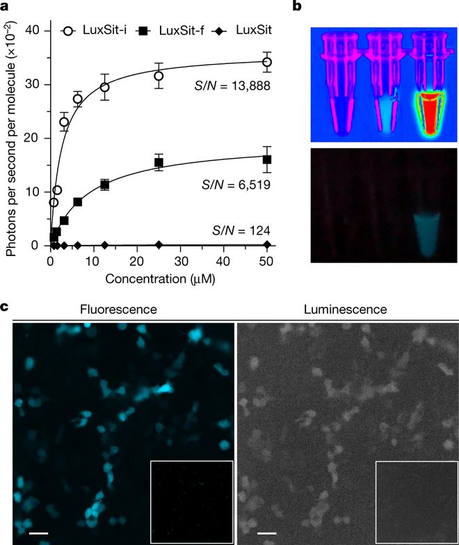 酶最新技术揭秘,如何学习并应用酶技术于实践之中