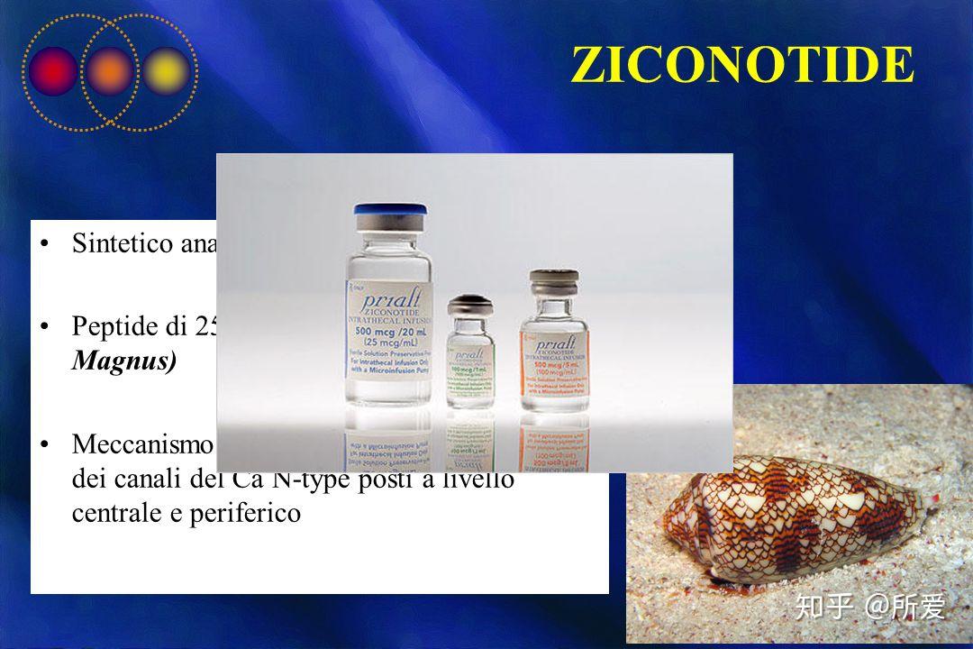 未来医学的探讨,最新肽的研究与应用