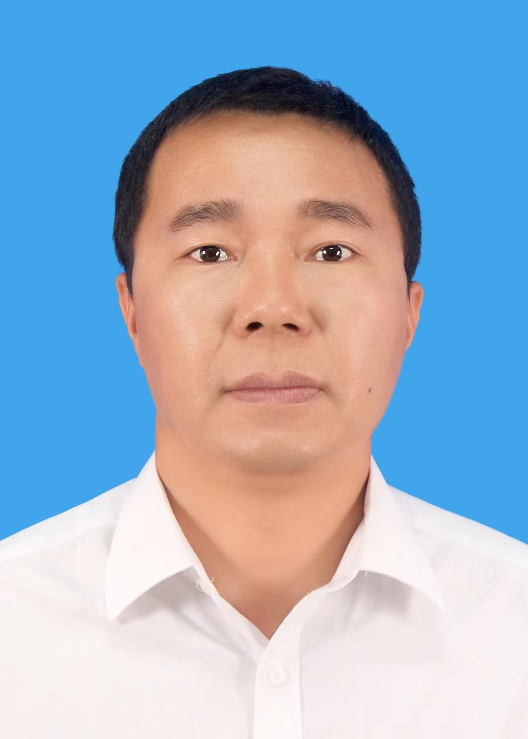 江南区领导最新分工概况